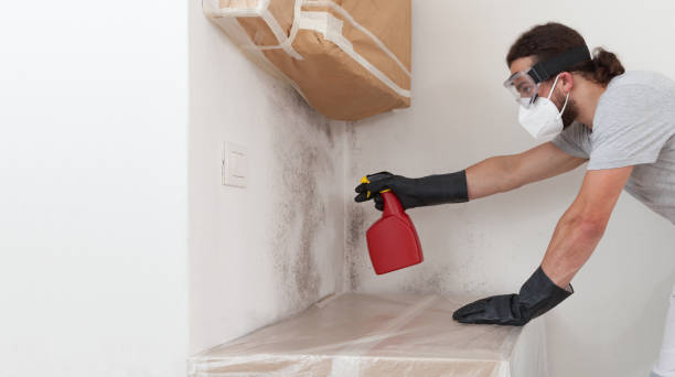 Professional Crawl Space Mold Remediation technician working in Niles, MI